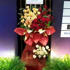 Hoa chúc mừng mẫu 09