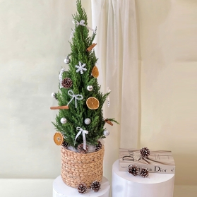 Thông noel mẫu 03