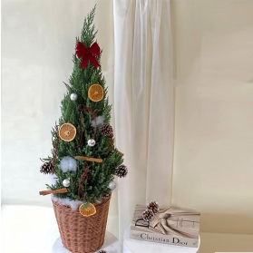 Thông noel mẫu 04