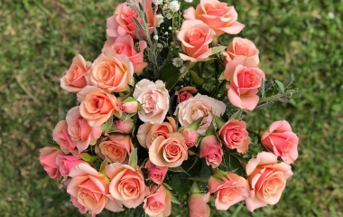 Bật mí ý nghĩa số lượng hoa hồng trong tình yêu ít ai biết