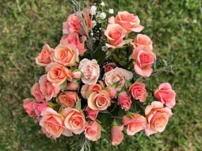 Bật mí ý nghĩa số lượng hoa hồng trong tình yêu ít ai biết